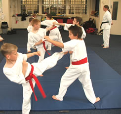 karate-grading.jpg
